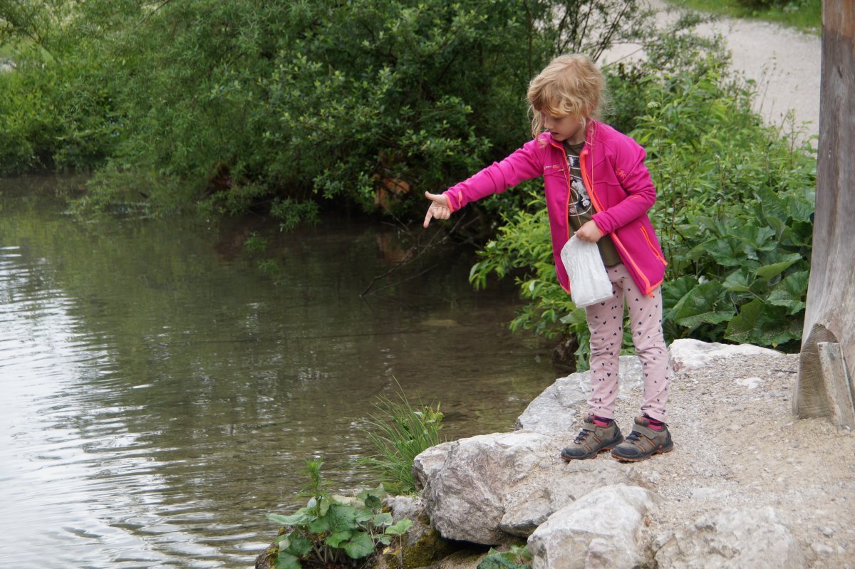 Wildpark 2019